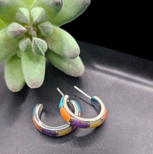 Multi Turquoise Earrings